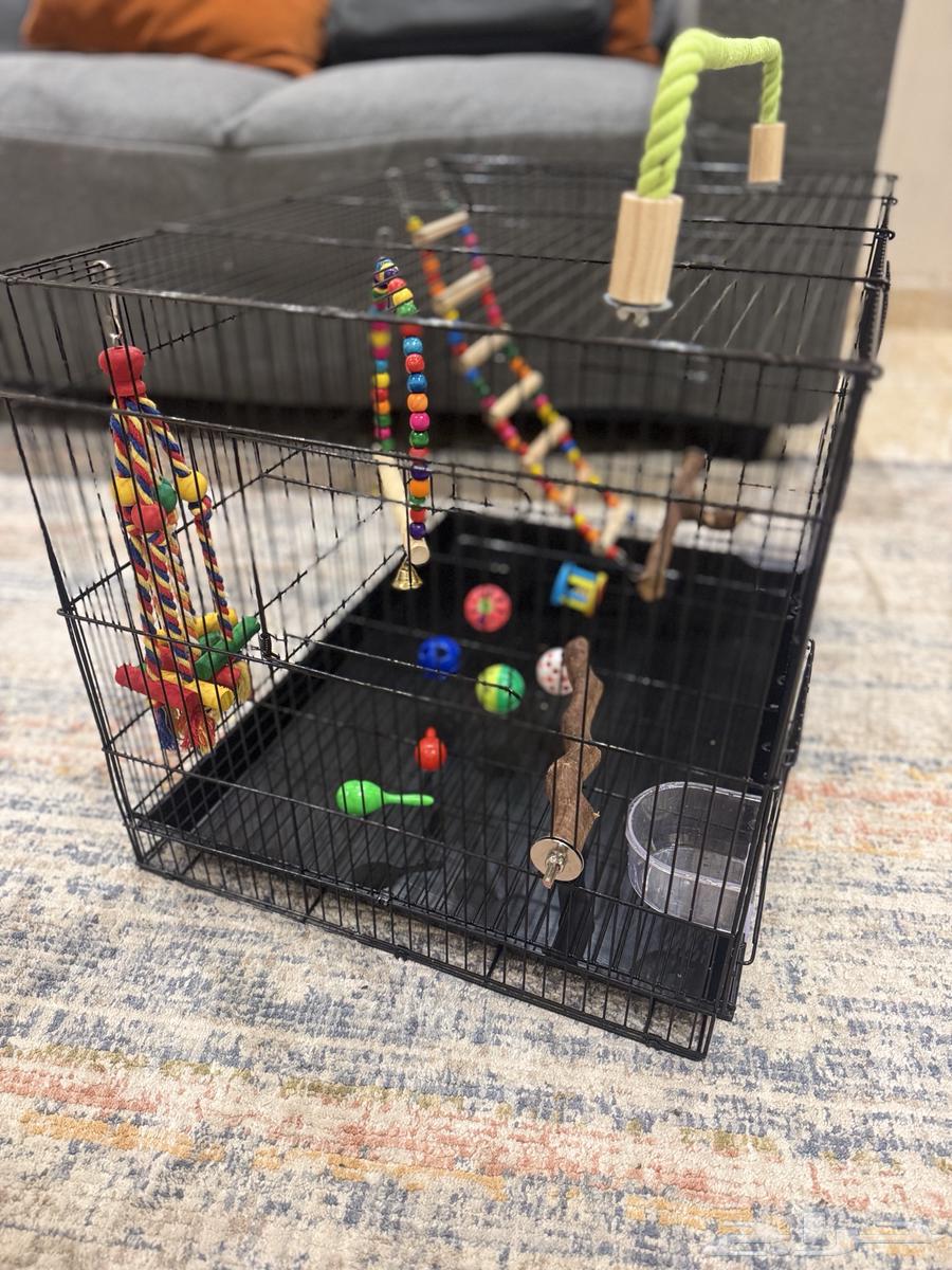 قفص ببغاء-طيور مقاس 601 لون اسود مع العاب (شبه جديد)64369761994242112