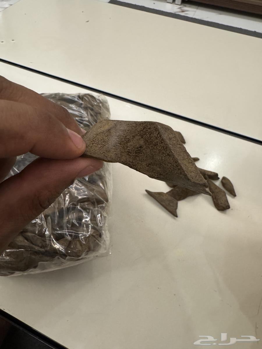 عود مروكي محسن ممتاز جده64375437938178111