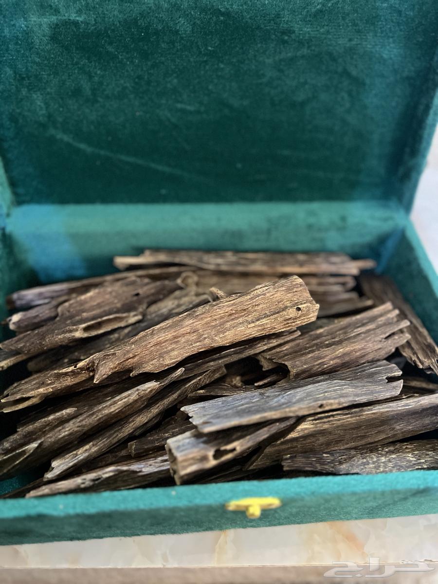 عود نقلاند هندي64371104071554111