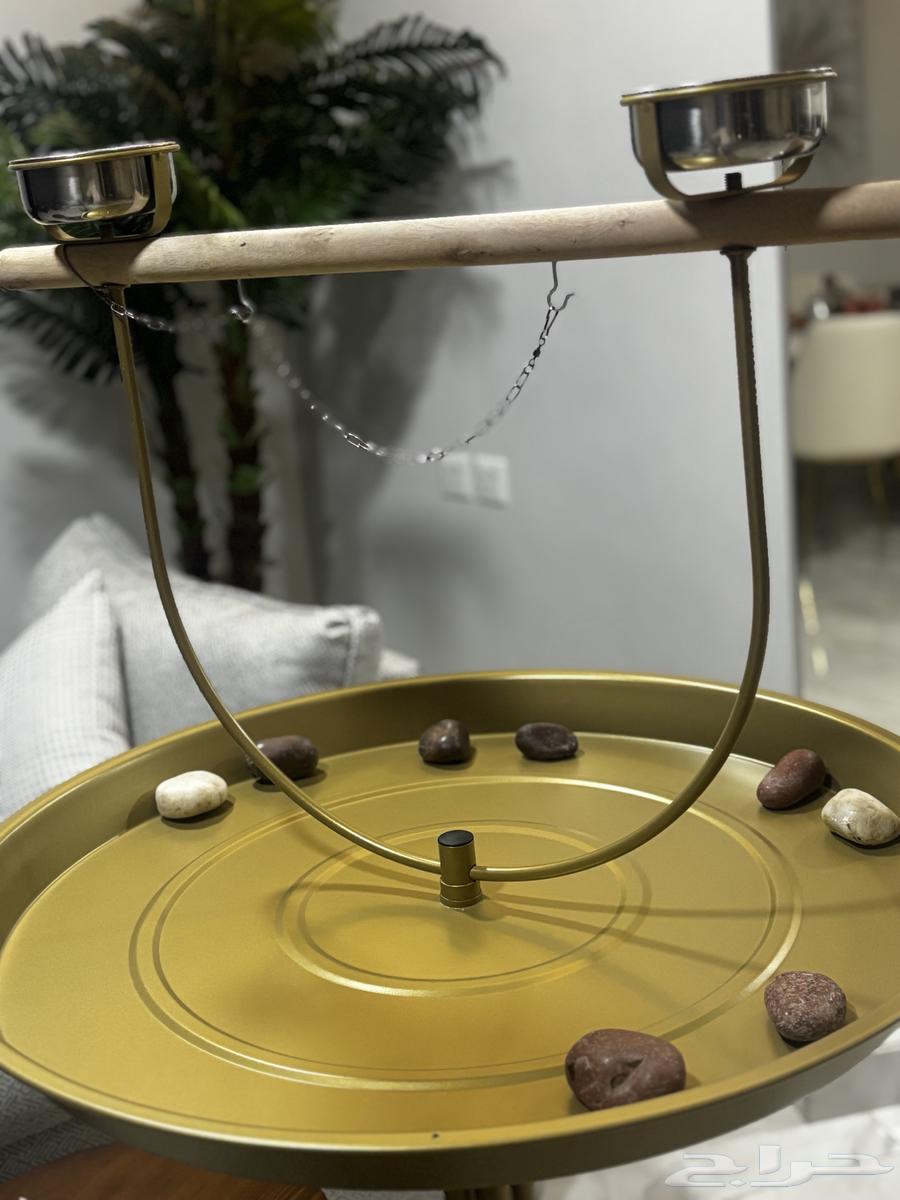 استاند بغبغا64369806018947110