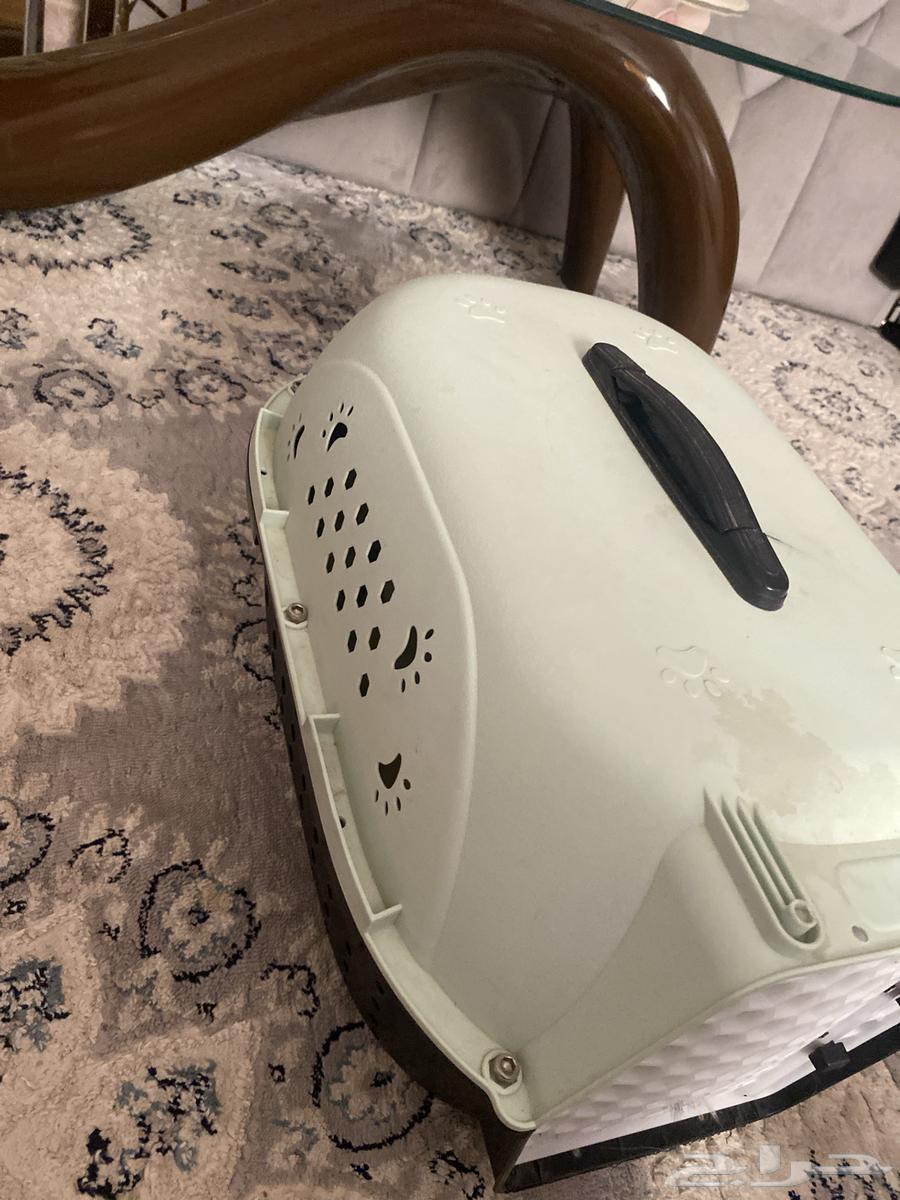 قطه للبيع64367245696257110