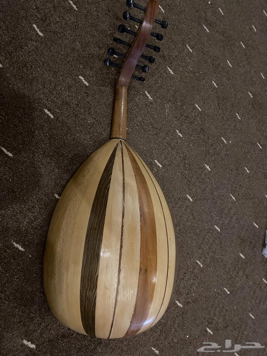 للبيع عود64368411983875110