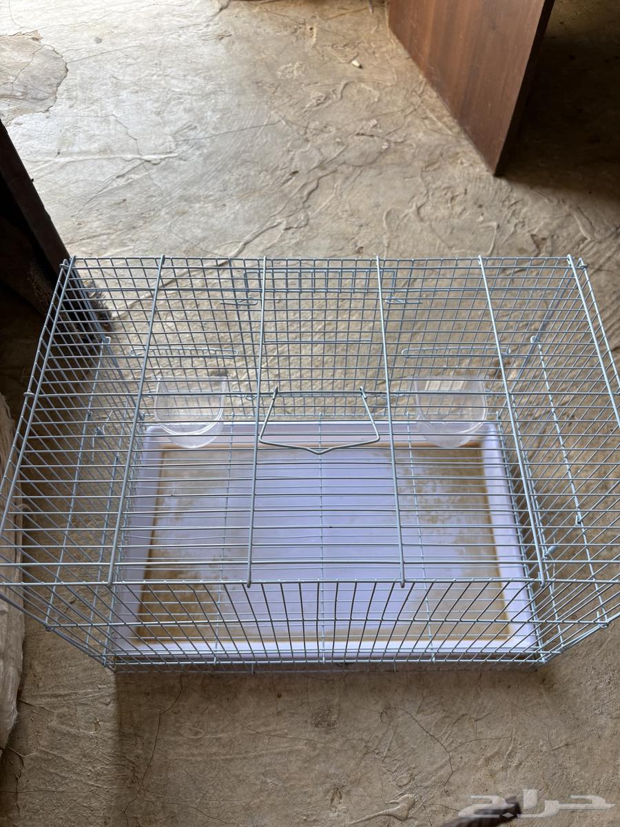 اللبيع شبك ارانب64367843579393111