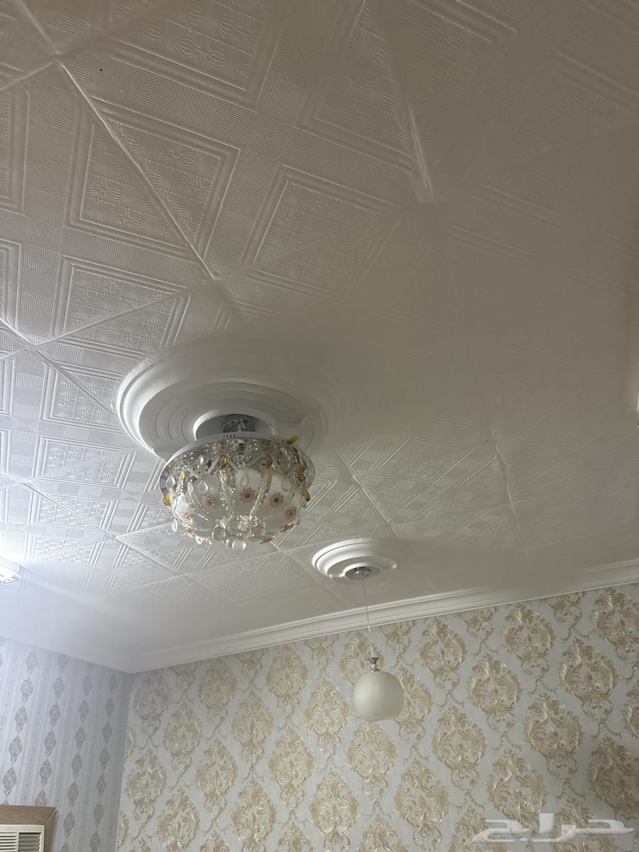 نجف ومطبخ64376109746817112