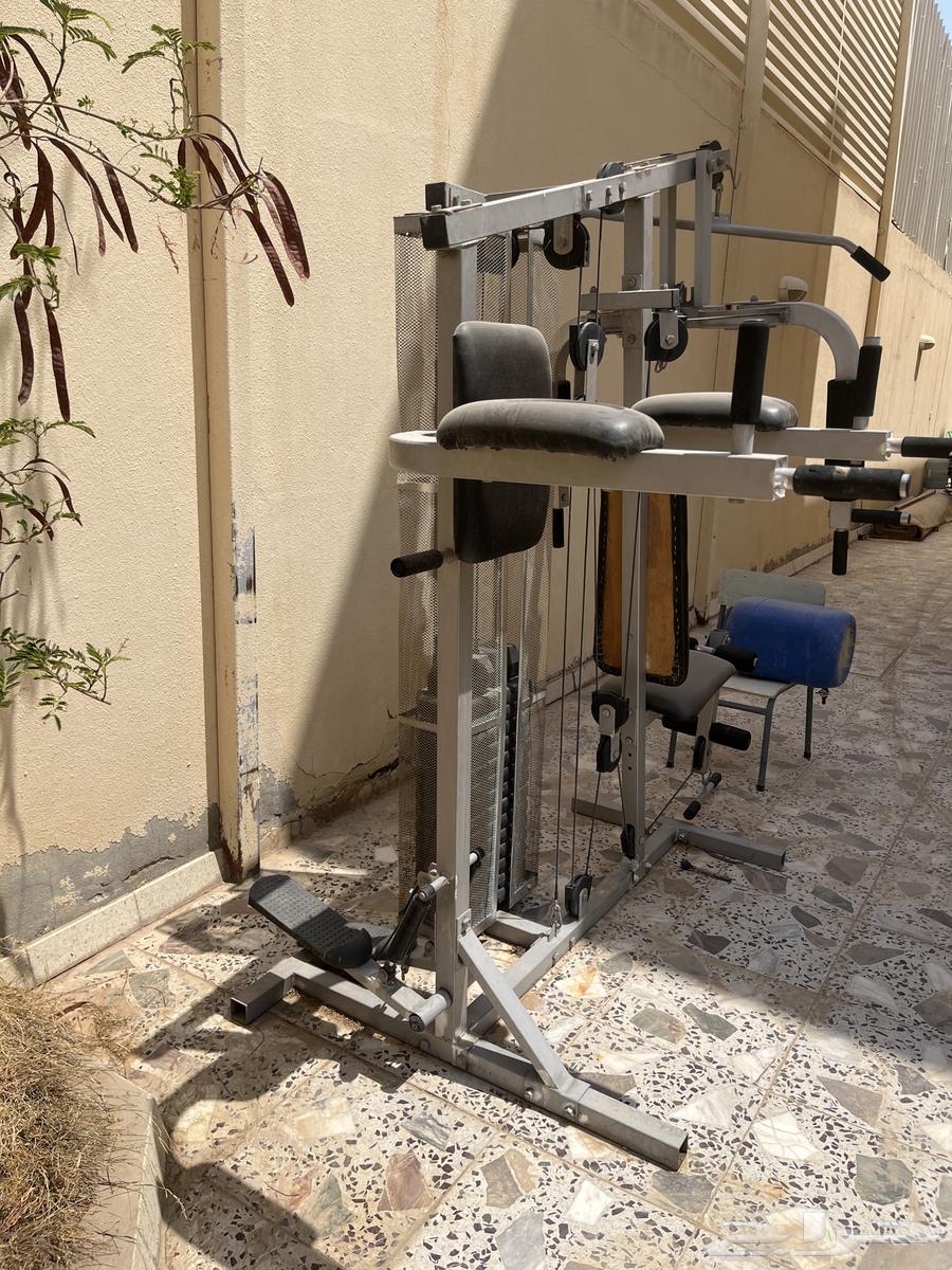 شارع حمل بن مالك64367274382465112