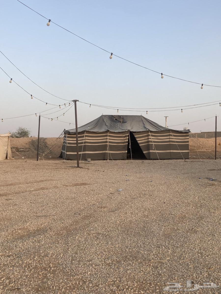 بيت شعر وخيمة وعريش للبيع64367625038977111