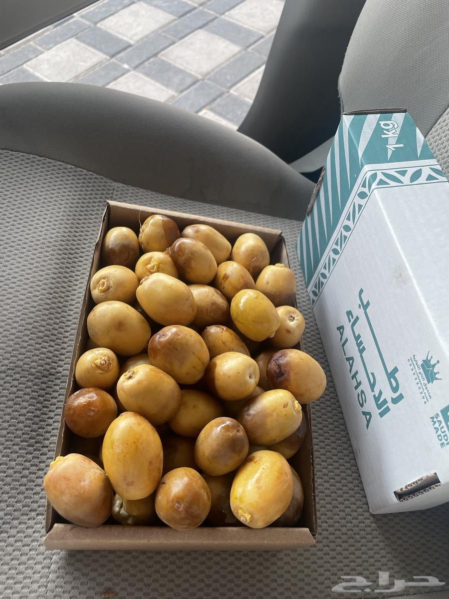 رطب خلاص وبرحي وزاملي توصيل للبيت64365114564099110