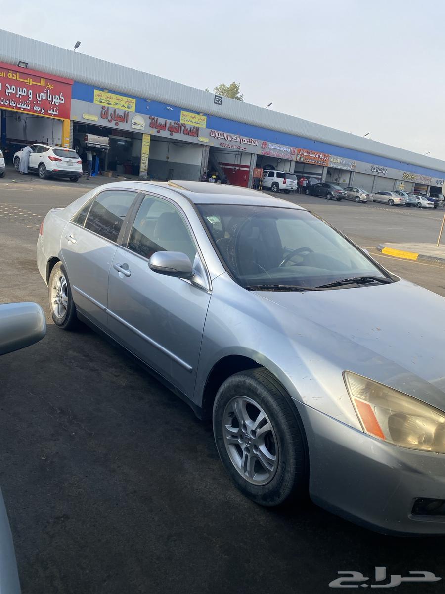 هونداء اكورد64515486802819111