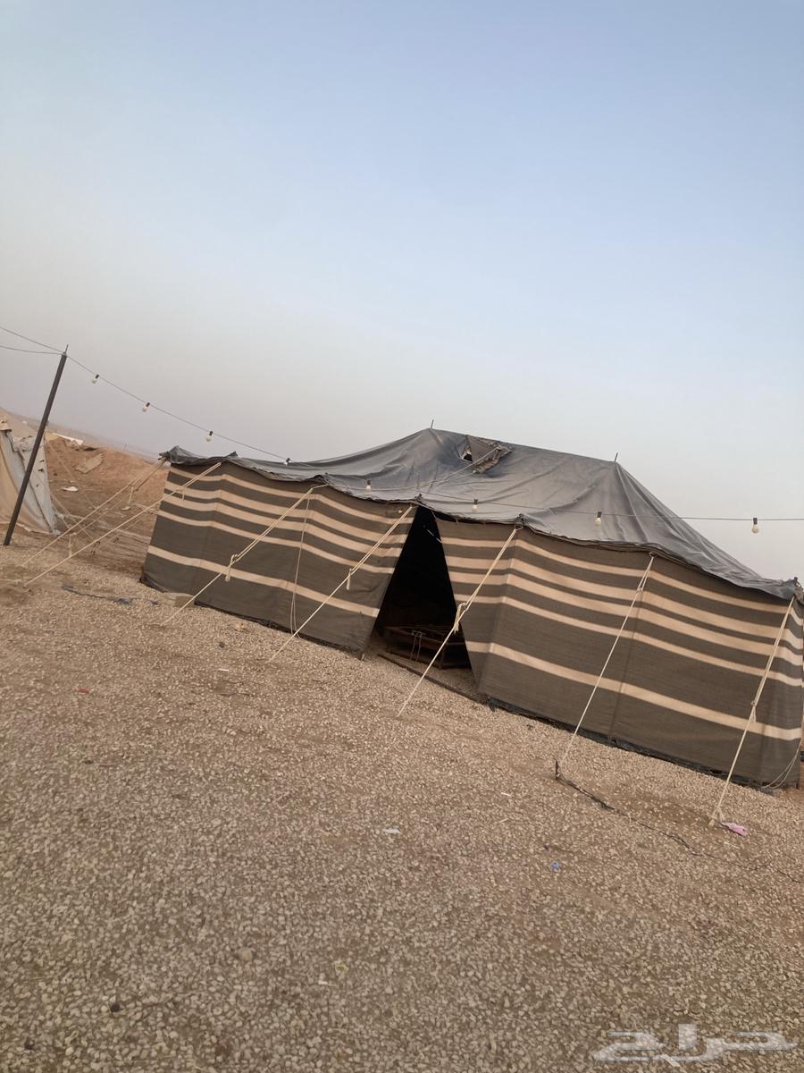 بيت شعر وخيمة وعريش للبيع64367625038977110