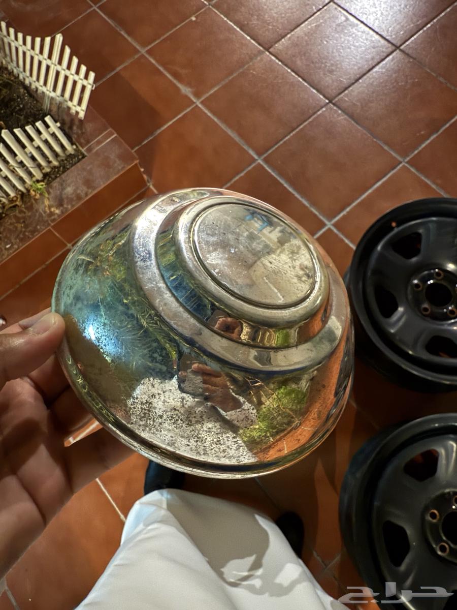 جنوط تورس و دوج بوليسي64519624785027114