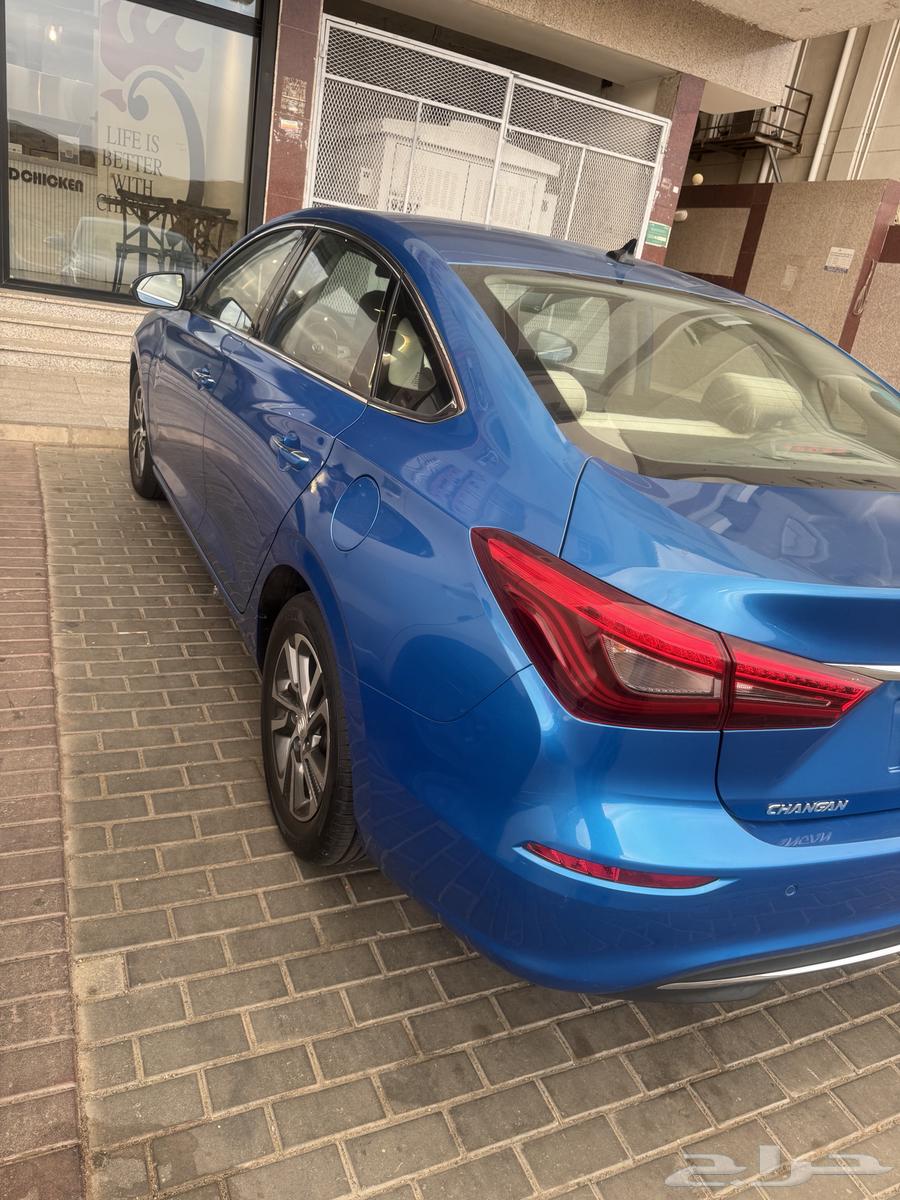 Mecca Al-Fayha64517262302339110