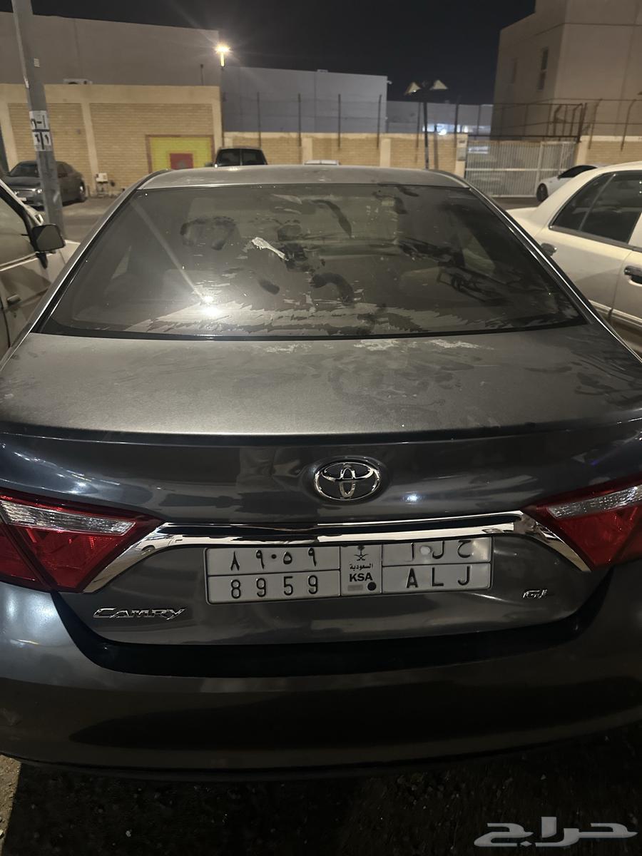 A distinctive plate with the name Hala7al 895964508005537666110