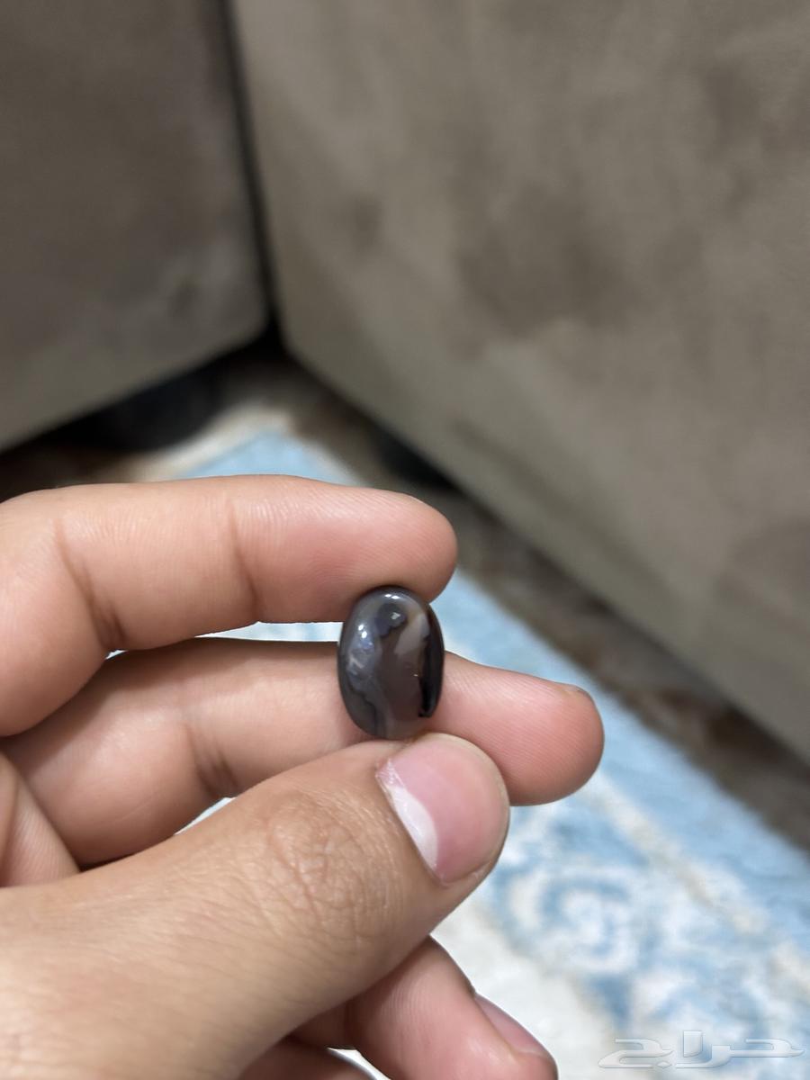 فصوص64369338031362113