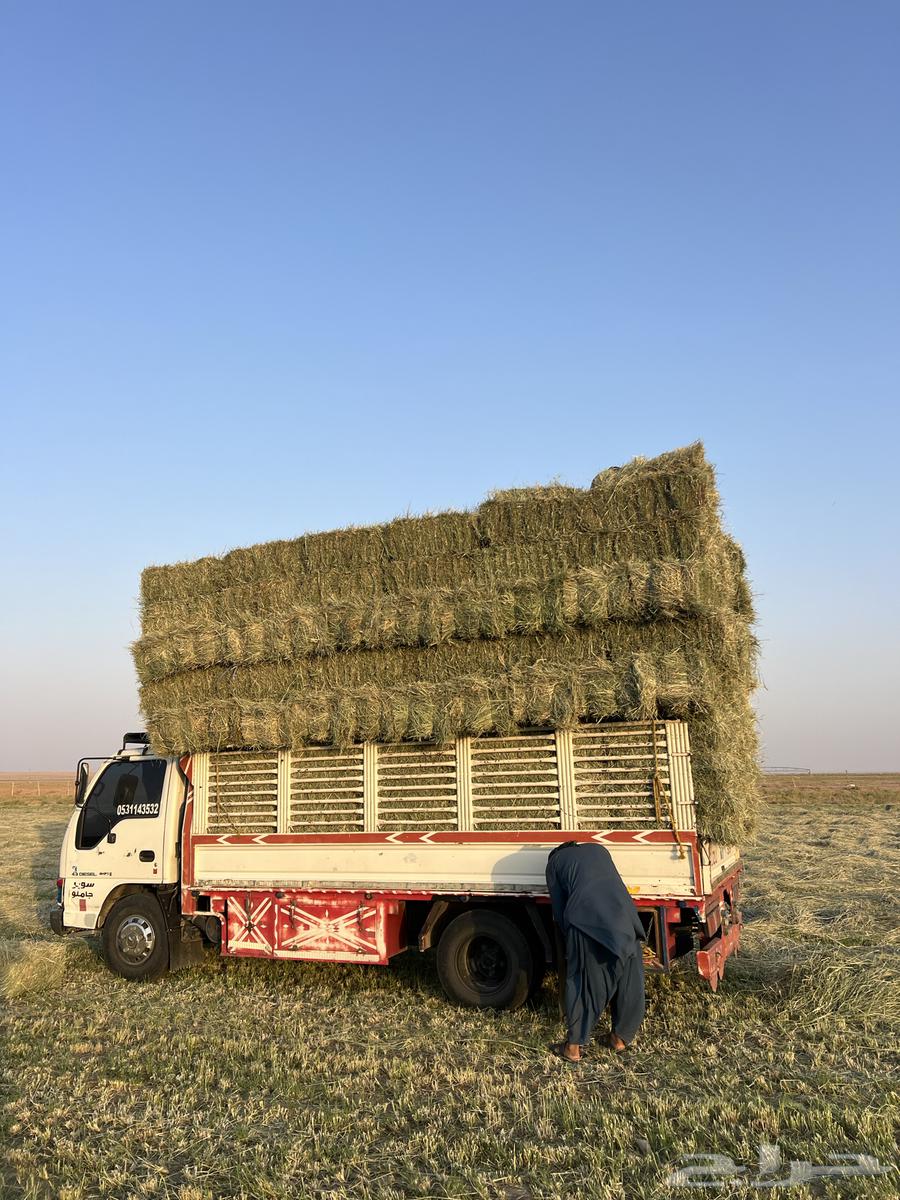 رودس صافي ناعم ورق64372346046723111