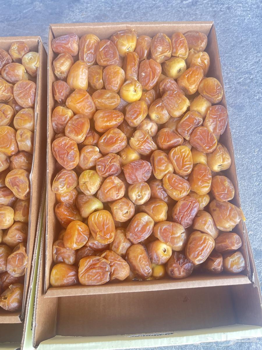 Dates64369053784834110