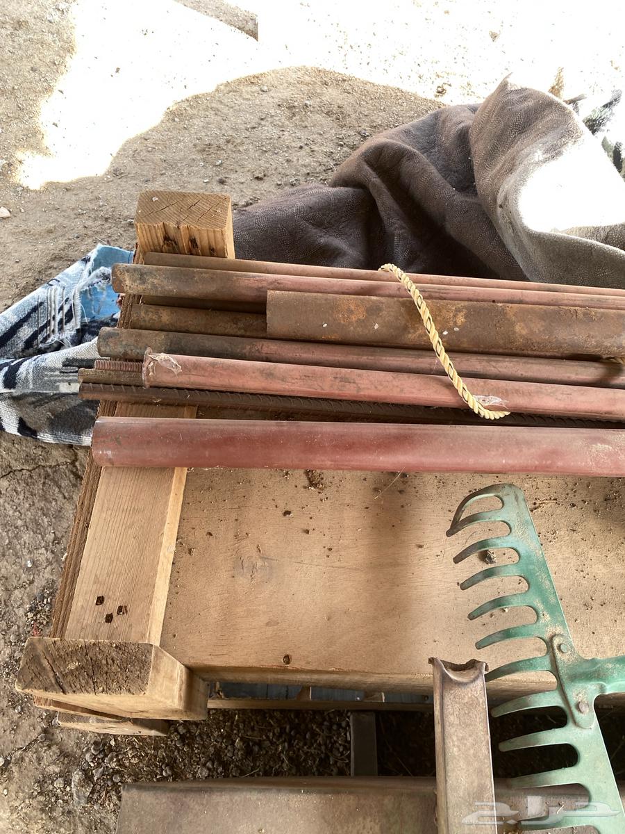 معالف غنم وشبوك بقلاوة64363427992706113