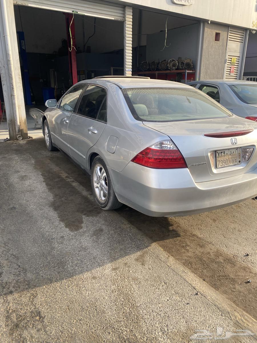 هونداء اكورد64515486802819113