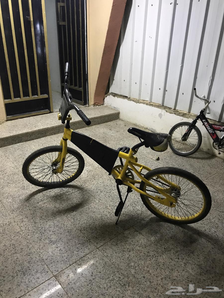 سيكل كوبرا مقاس 20 اصفر حطيت ماسك جوال للي يحتاجه64374230126593110