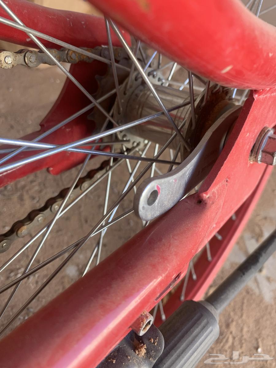 سيكل للبيع64369966842241113