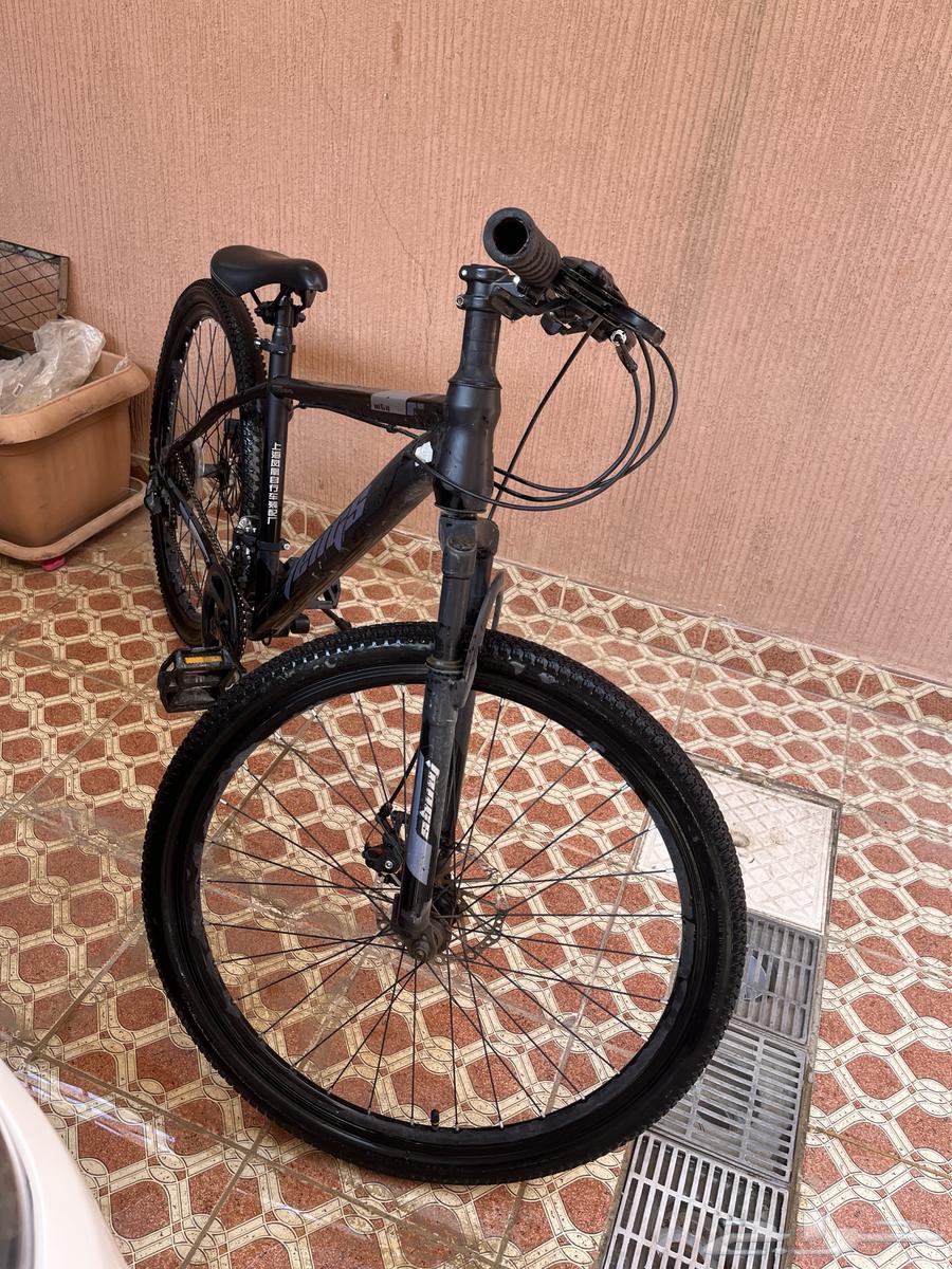 سيكل جبلي سبورت وا بيكن باكي64368571942018113