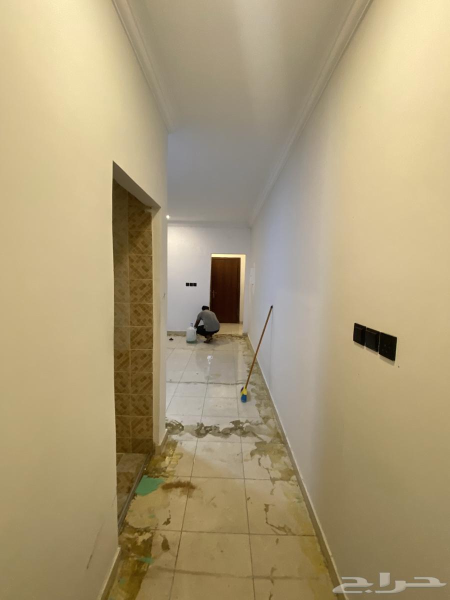 Bachelor apartment for rent in Al-Shoula63613848193155112