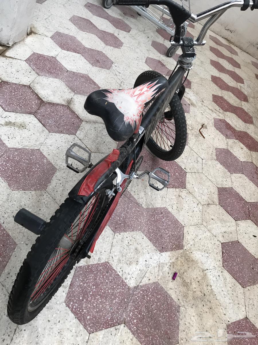 سيكل كوبرا. سيكل رياضي64372038124801111