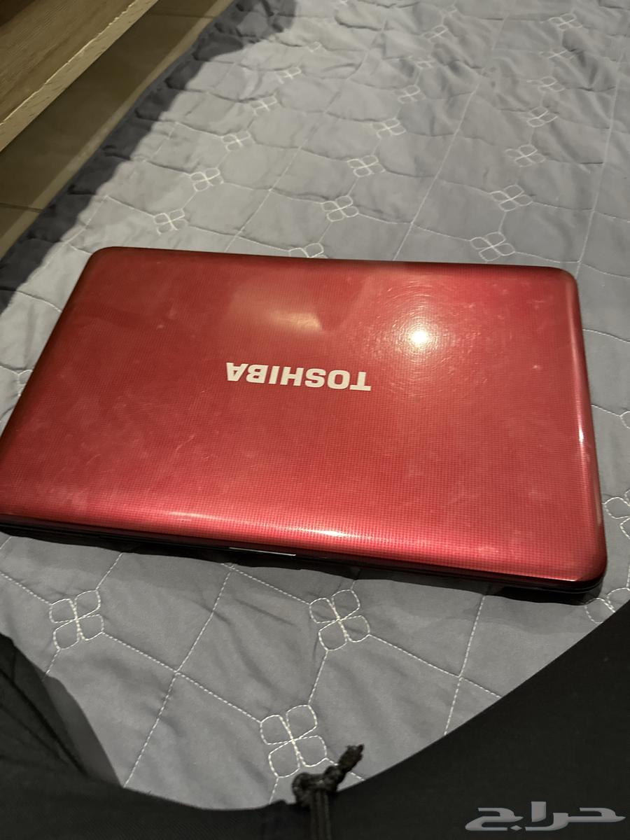 البيع لابتوب تشيبا64373757228418113