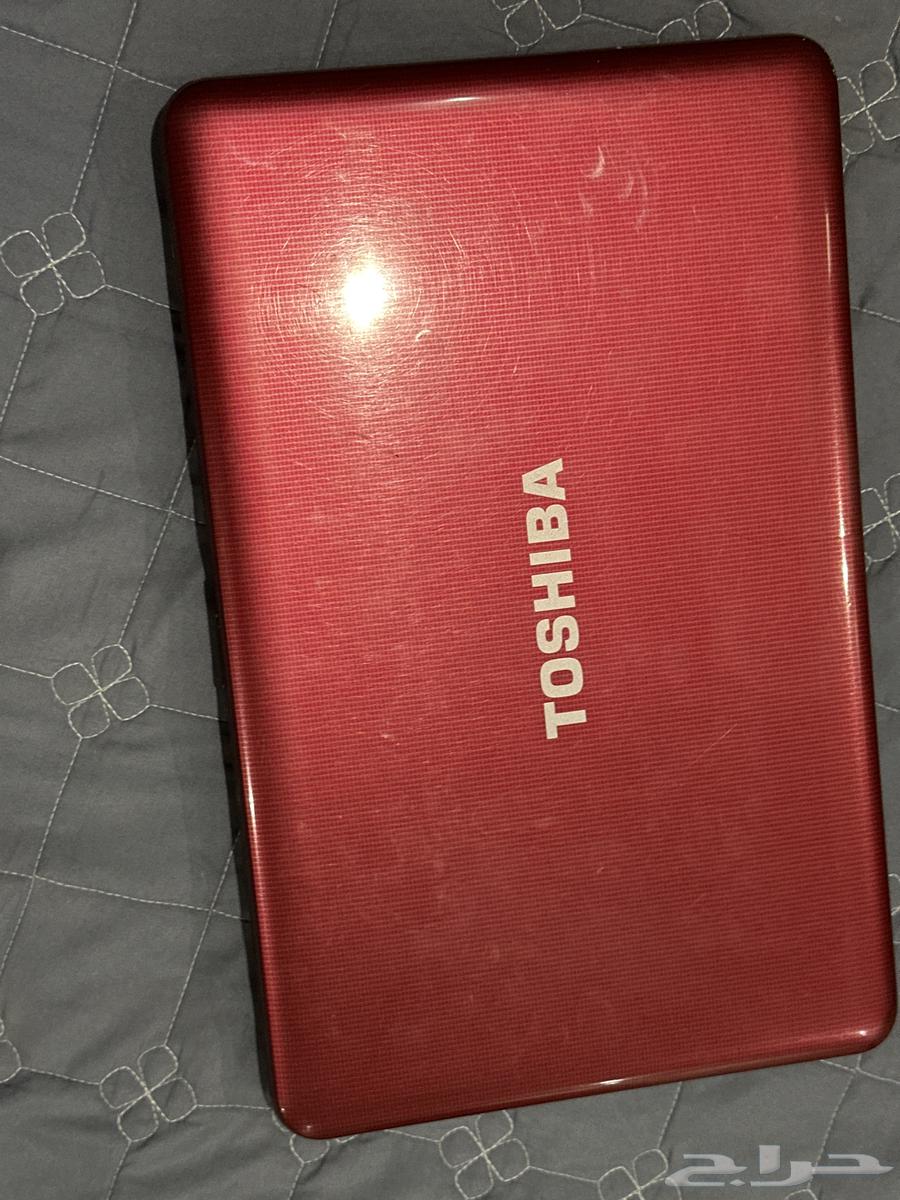 البيع لابتوب تشيبا64373757228418110