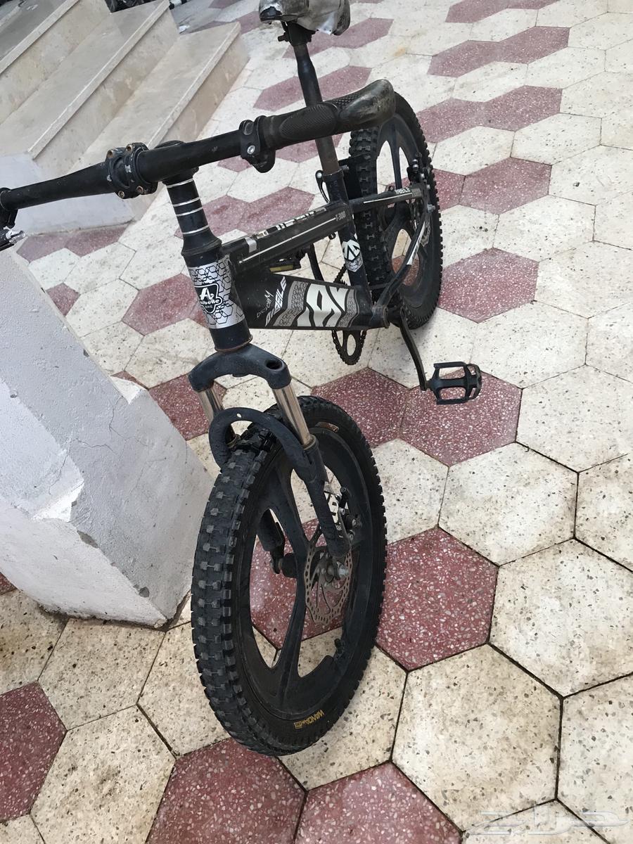 سيكل كوبرا. سيكل رياضي64372038124801112