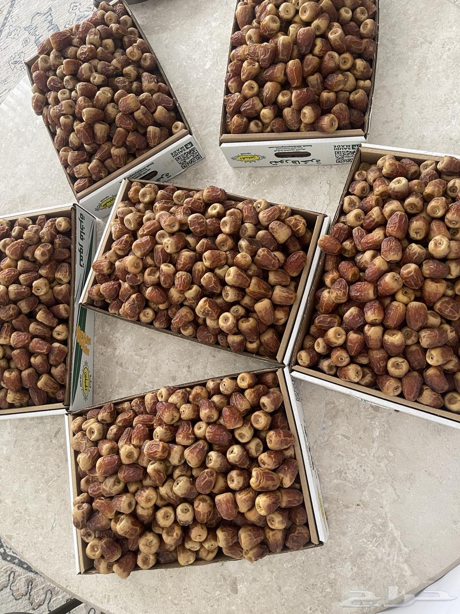 تمر جالكسي فاخر مطوق وياكل العين64368354273027111