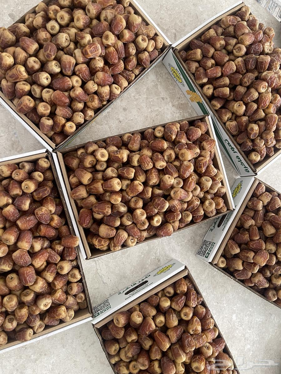 تمر جالكسي فاخر مطوق وياكل العين64368354273027112