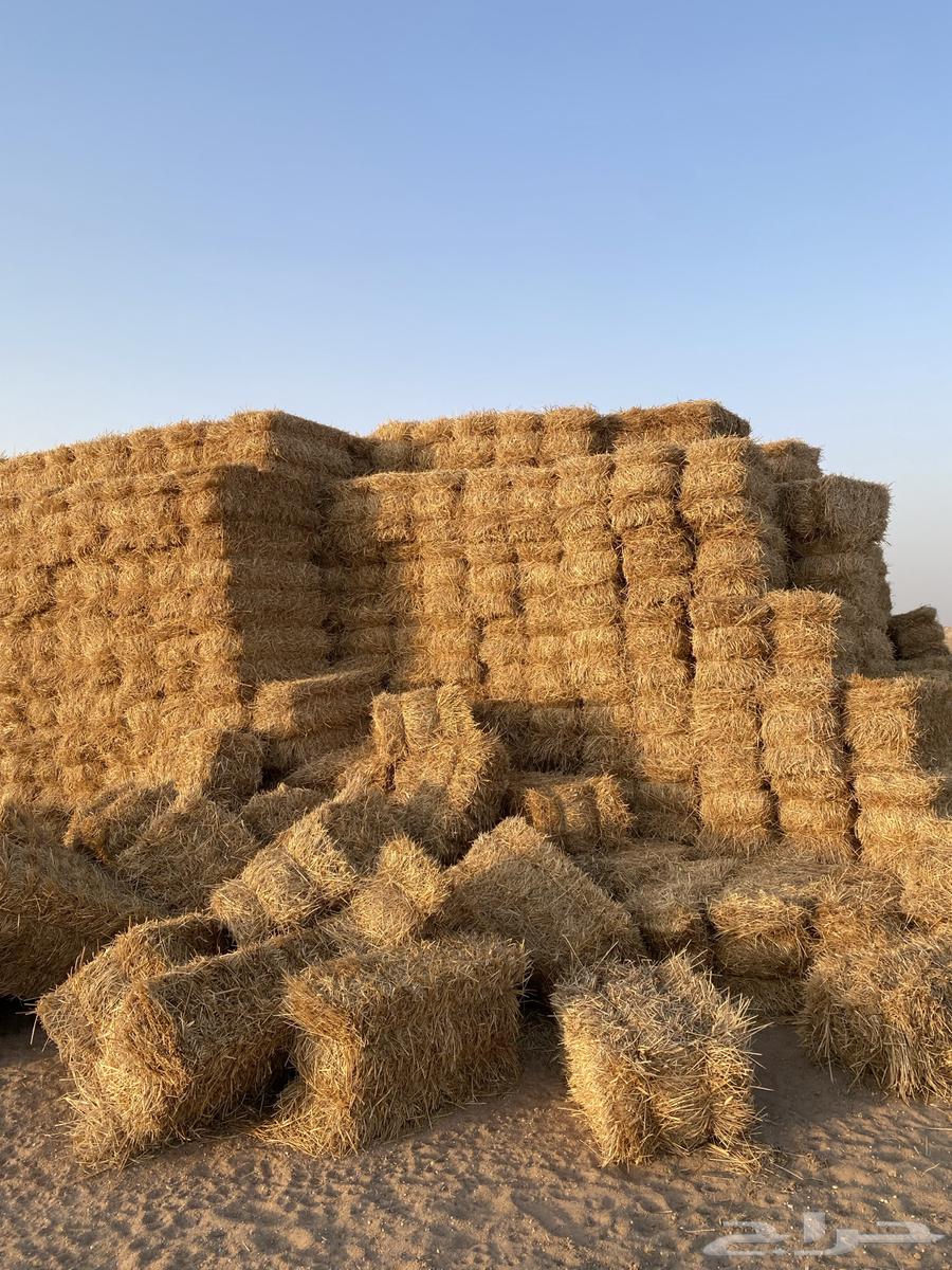 Wheat straw, barley straw, wheat hay64372375160705110