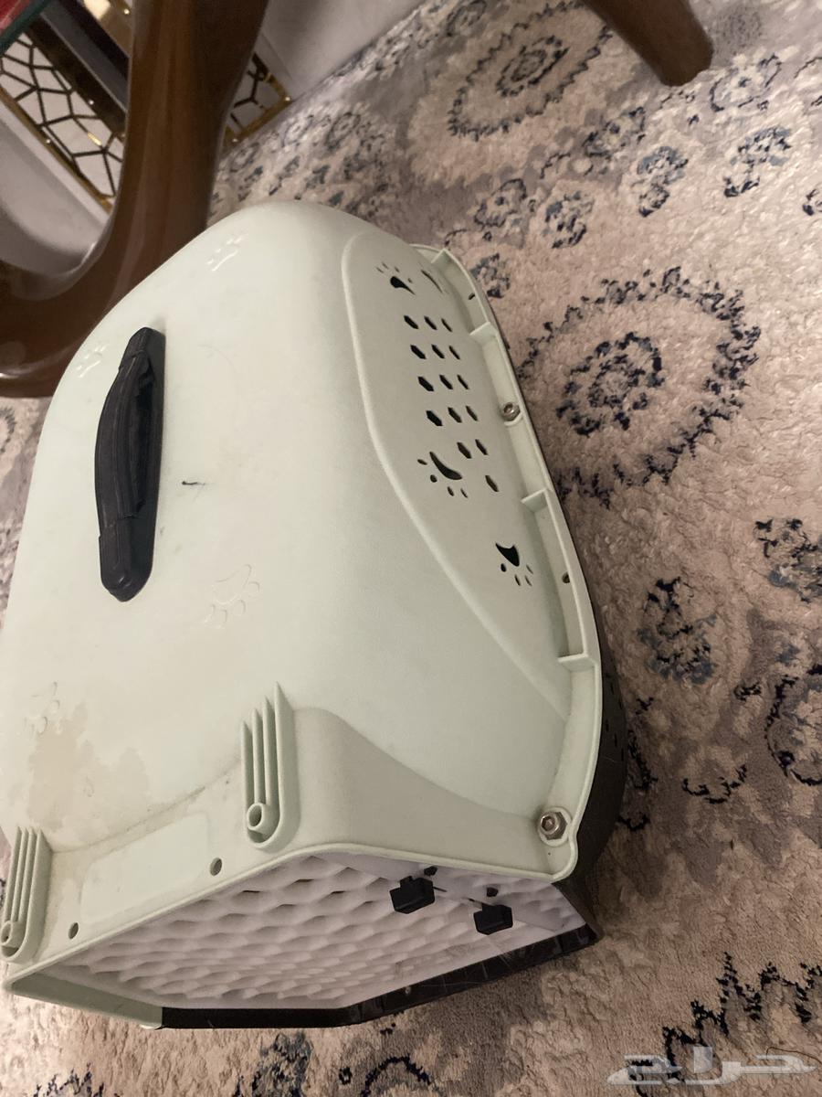 قطه للبيع64367245696257111