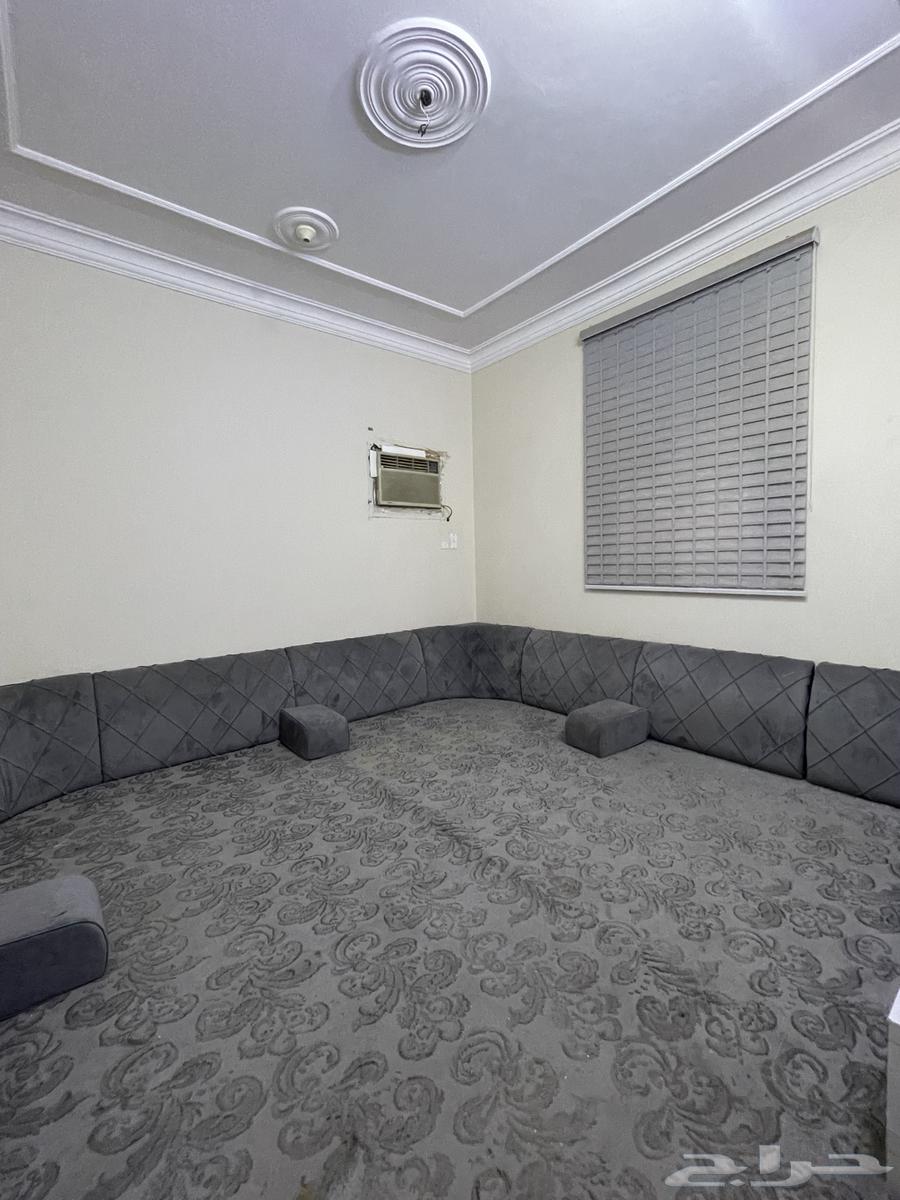 Sofa, rug, and curtain64376006122881112