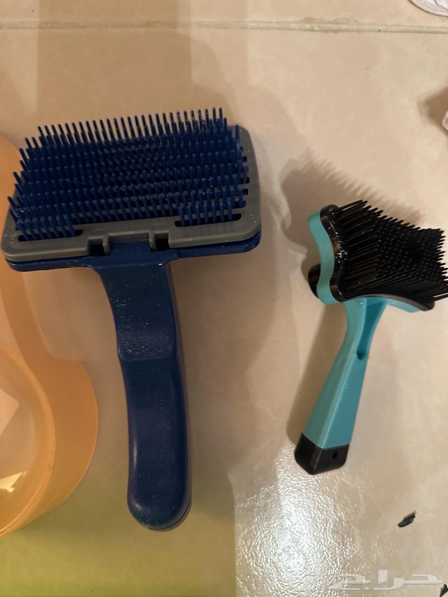 ادوات العناية بالقطة64371104056193114