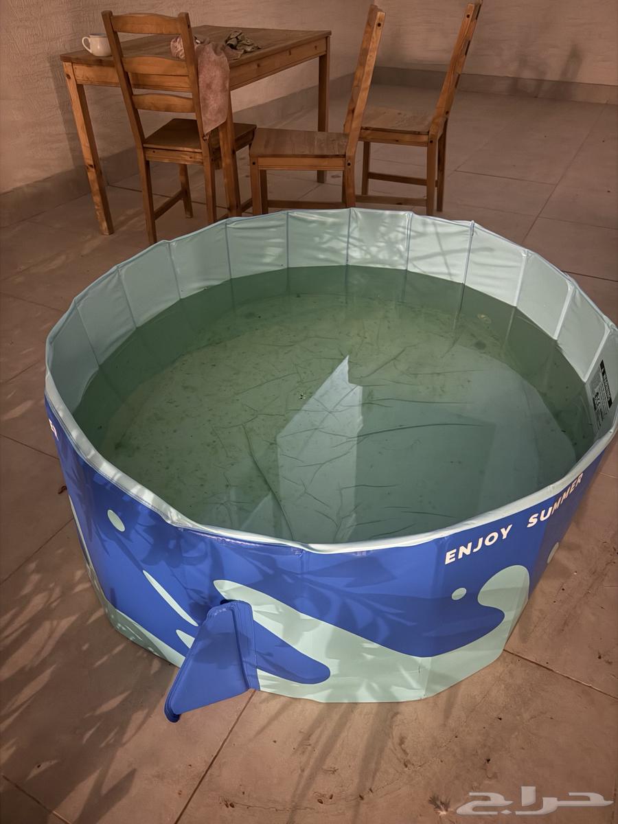 مسبح لصغار قيمته 200 ابيعه 150 استخدام مره وحده عيوب لايوجد64375304168961110
