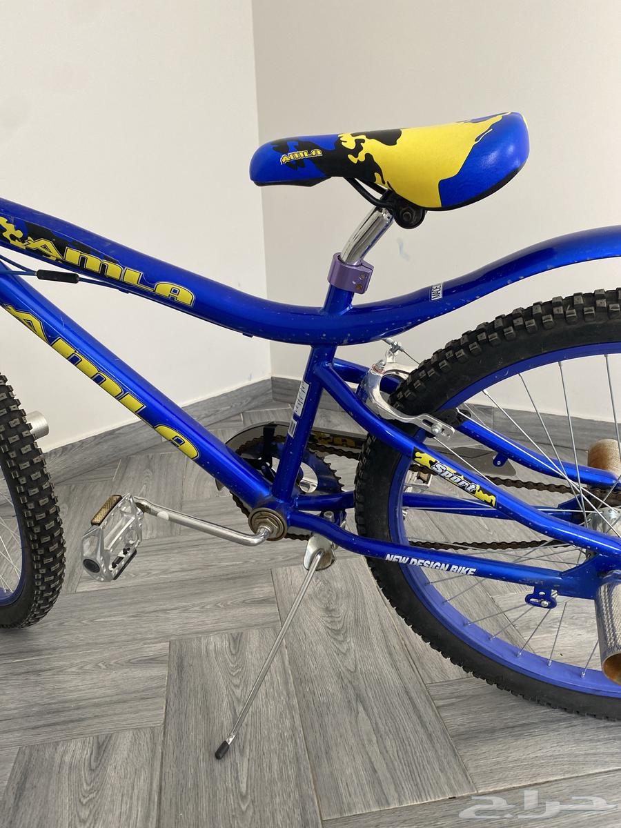 Cobra bicycle size 2464367551954305110