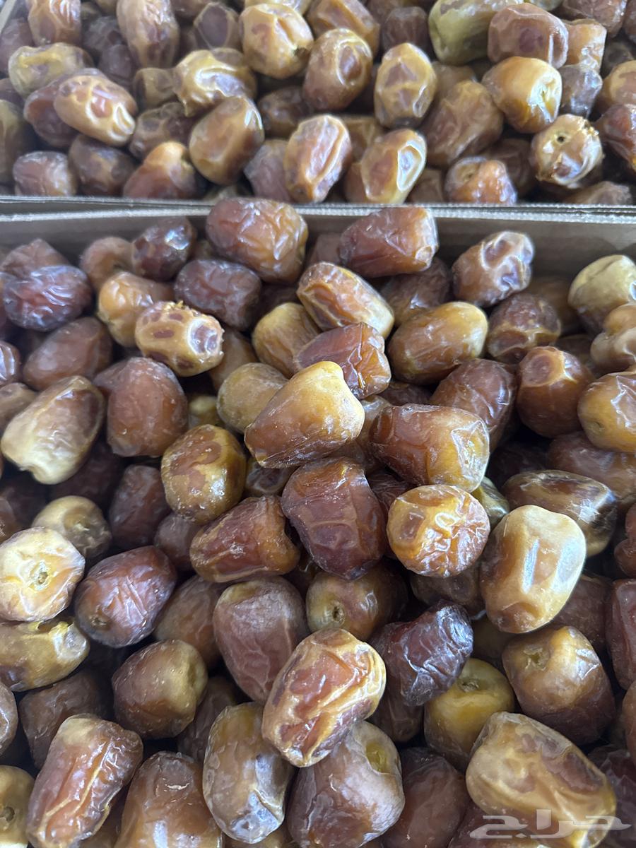 Saqi and Sukkari Dates64365425137155113