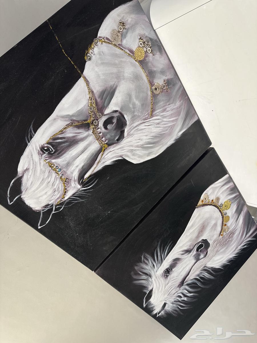 اثاث (مكتب - اله رياضيه - طابعة ليزر - غسالة - كاويه ملابس)64372653353219114