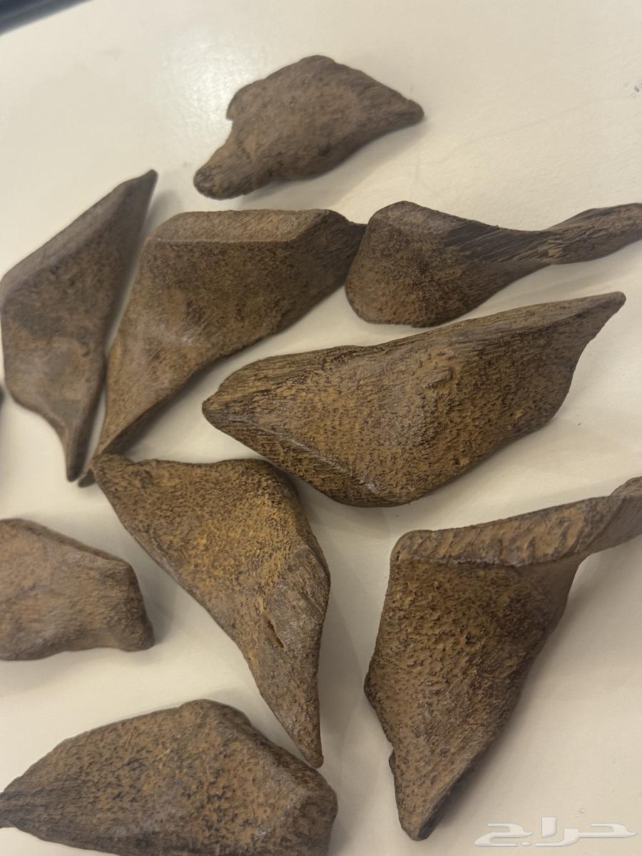 عود مروكي محسن ممتاز جده64375437938178114