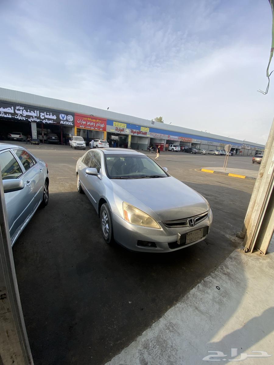 هونداء اكورد64515486802819110