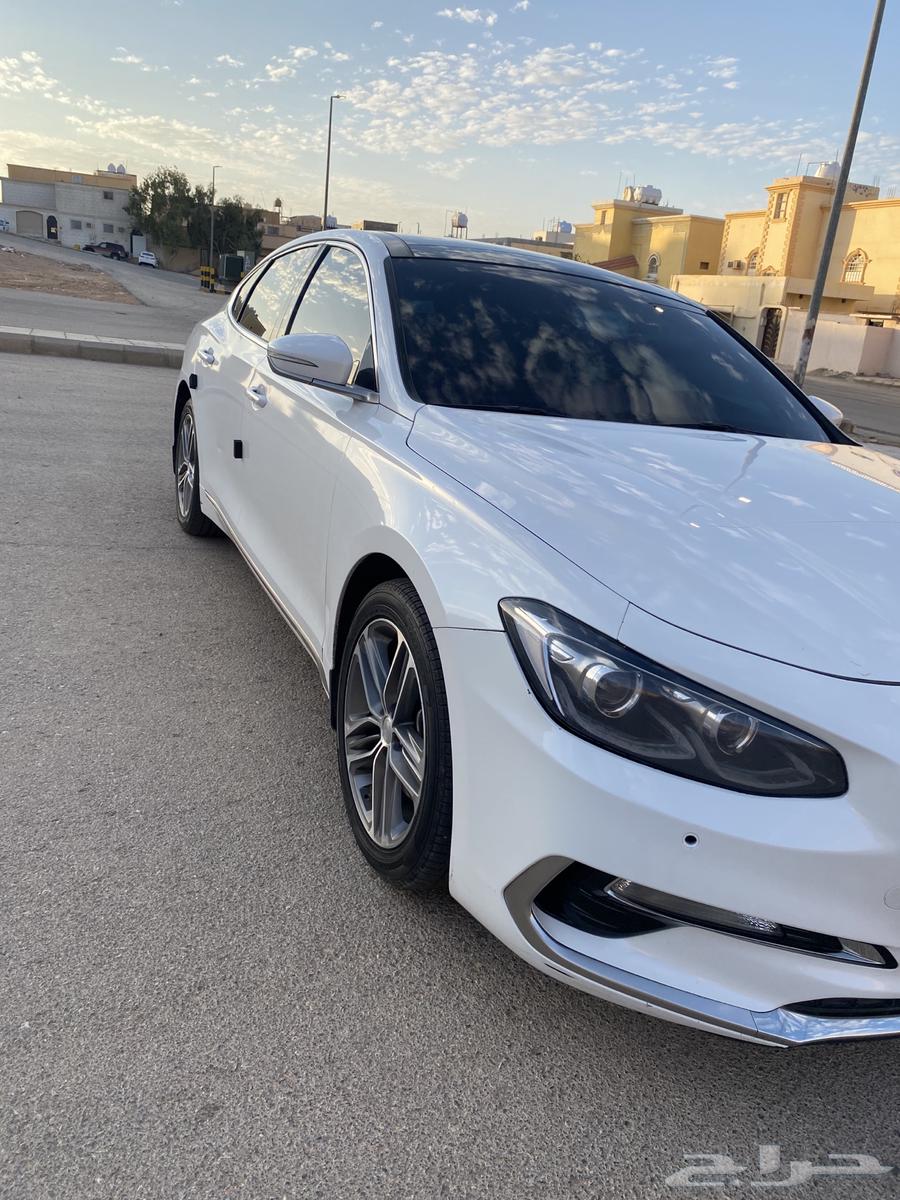 ازيرا 2019 نص فل اللون ابيض64509560973954114