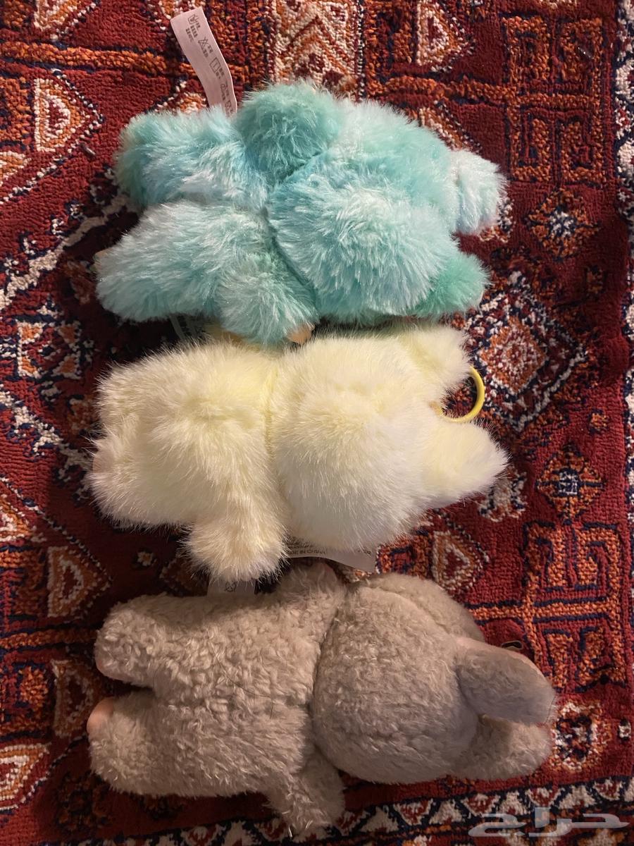 لابوبووو64508971454210111