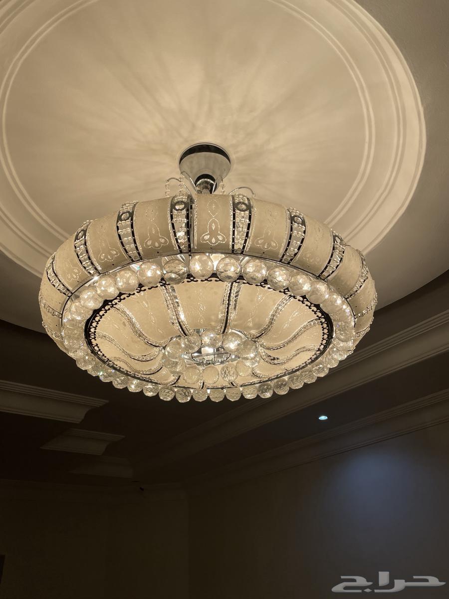 ثريا للبيع على السوم64366541919363114