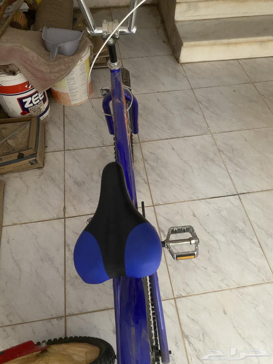 Cobra Cycle64373624987906113