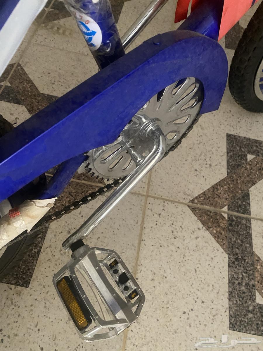 سكيل كوبرا للبيع جديد64370165597826112