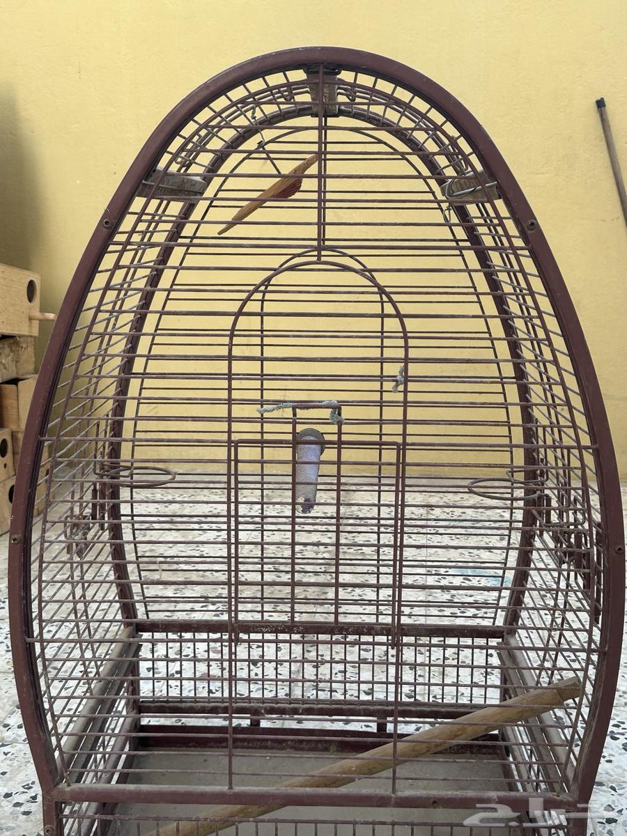 للبيع قفص كبير64372156058882114