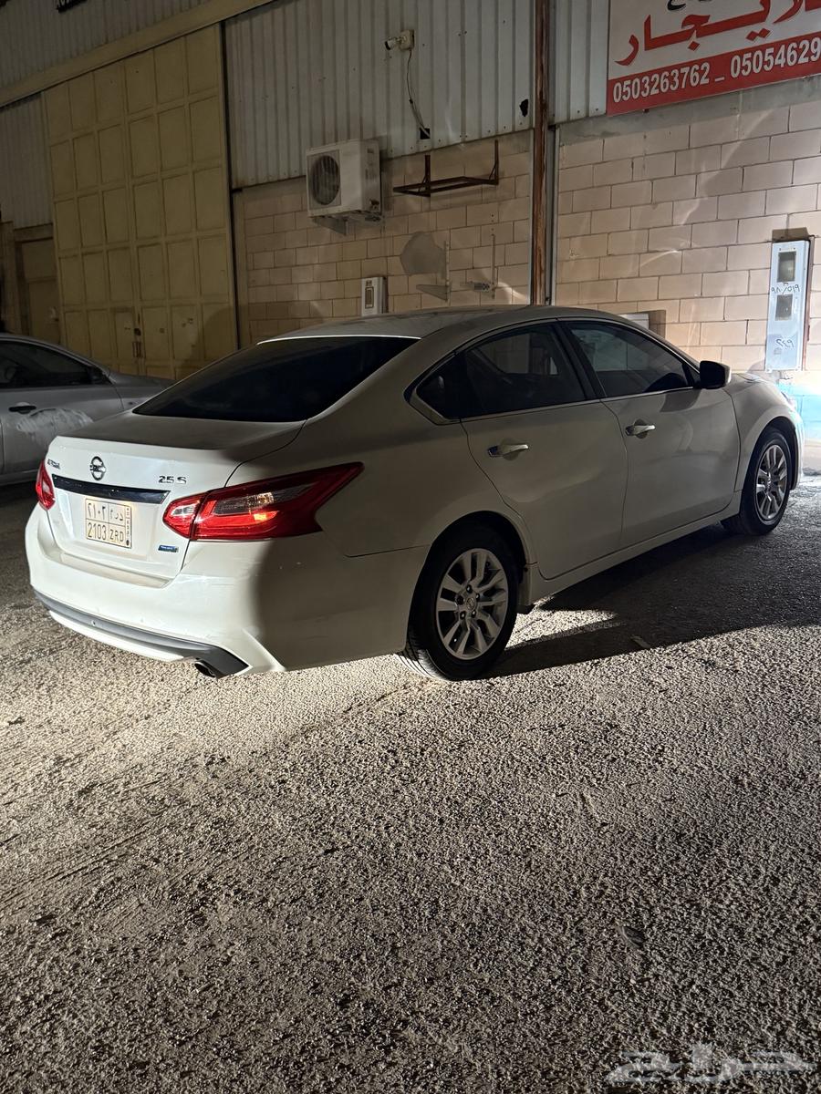 Tema 201764518619313025114