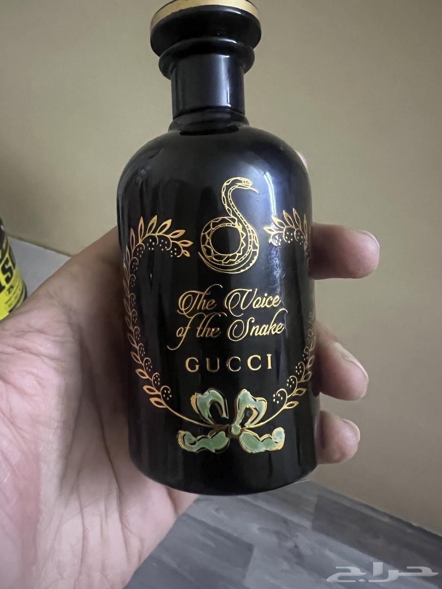 Gucci   The Voice of the Snake   عطر64369849842177110
