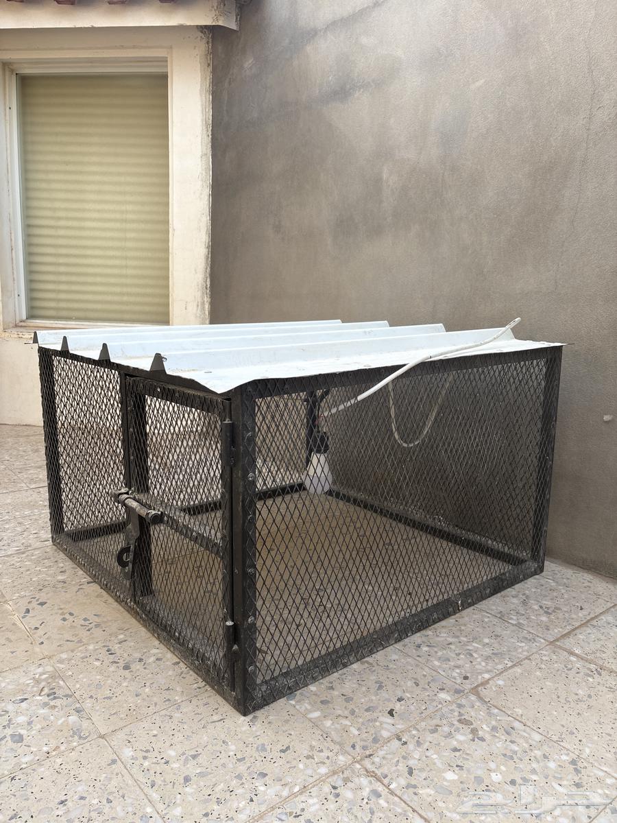 للبيع شبك طيور64370885531265111